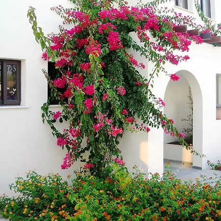 Aura Holiday Villas * Paphos