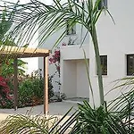 Aura *